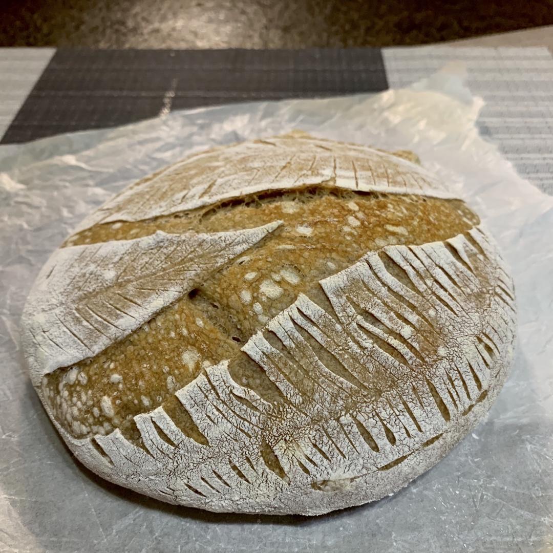 视频教程 天然酵种欧包 基础配方＆制作流程