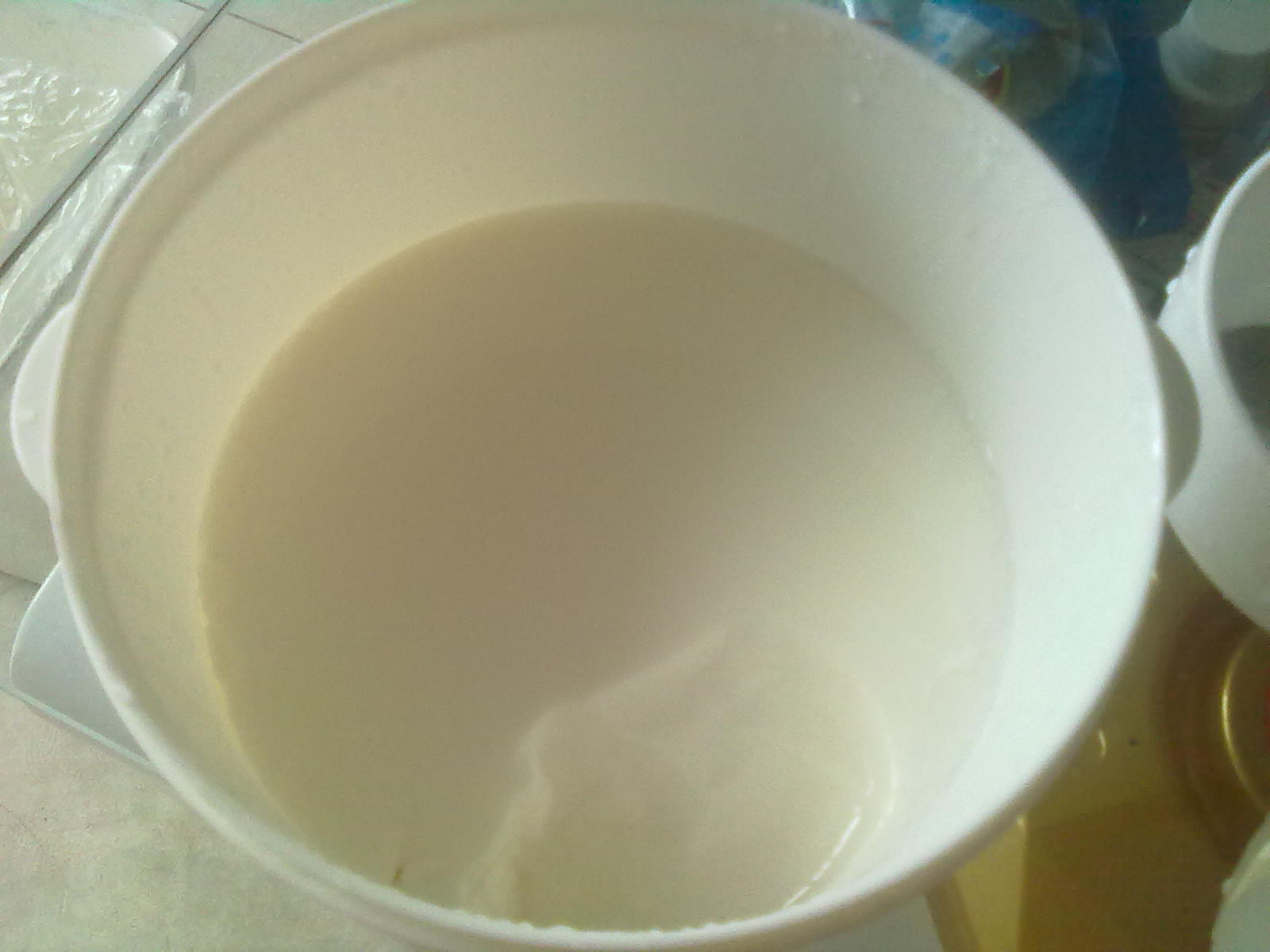 自制特浓酸奶