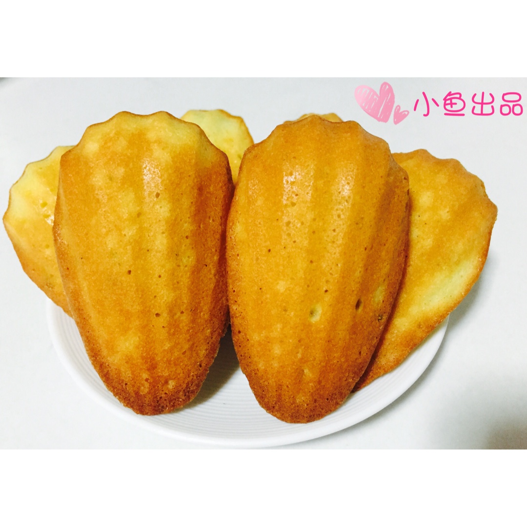 玛德琳（蓝带方）