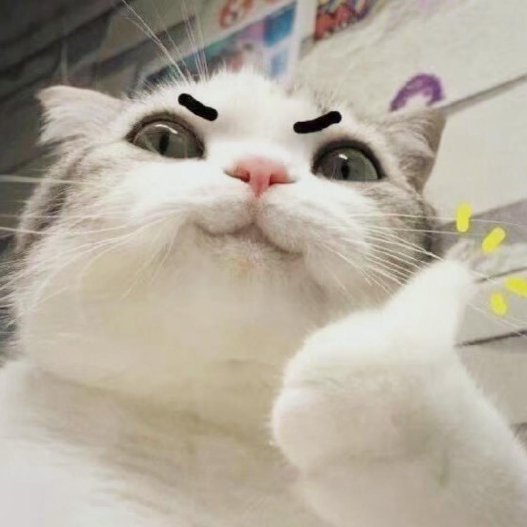 Mio酱