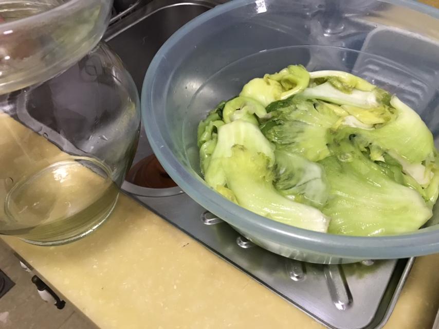 潮州酸菜腌制法