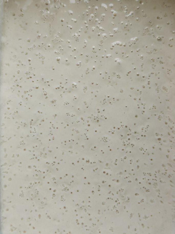 鲁邦液种（Levain  liquid）