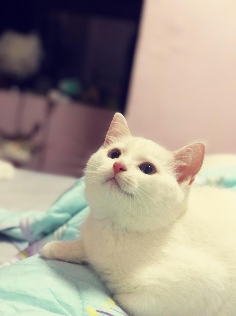 梓颐妹妹
