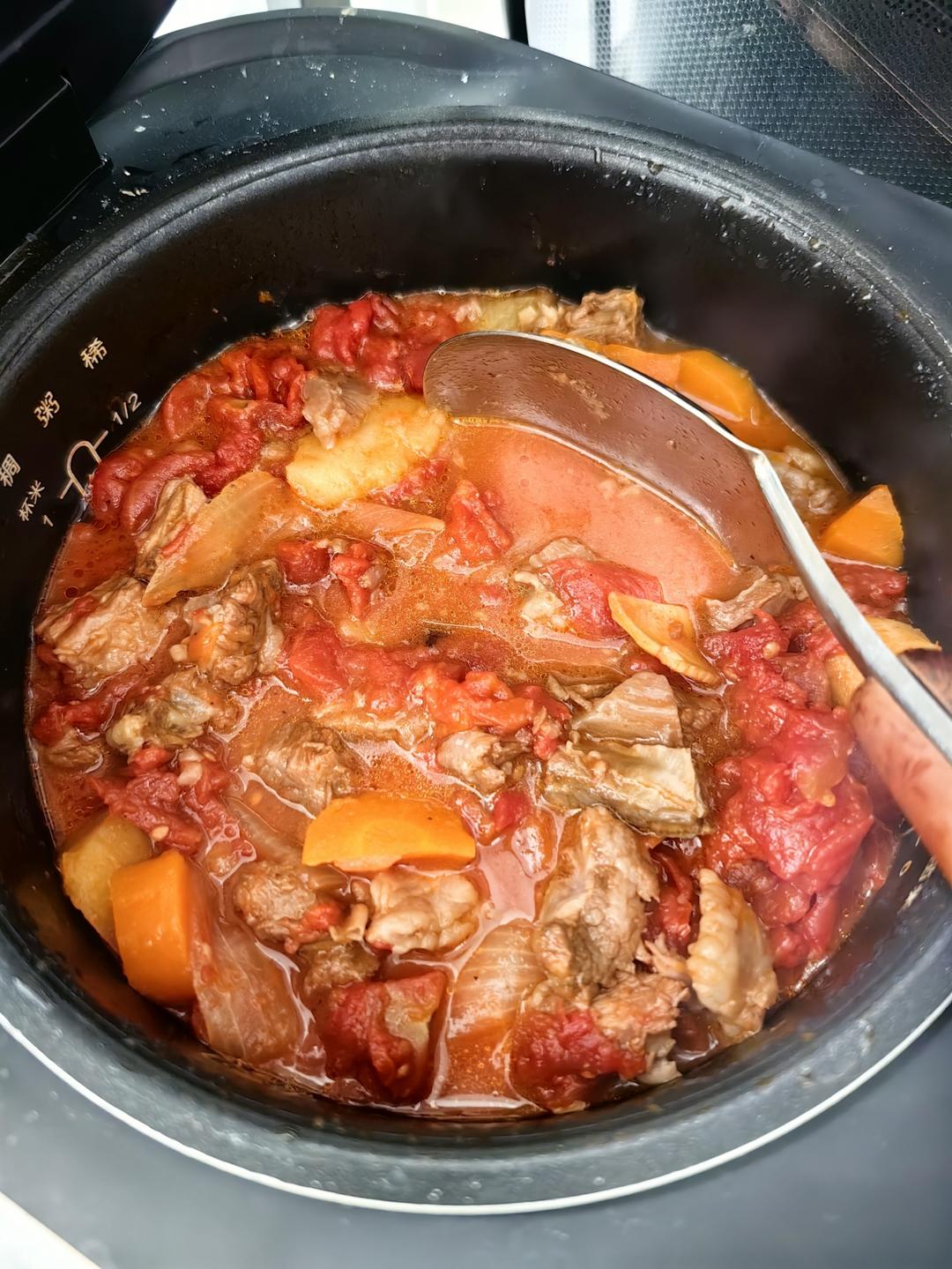 超简单电饭煲番茄牛腩