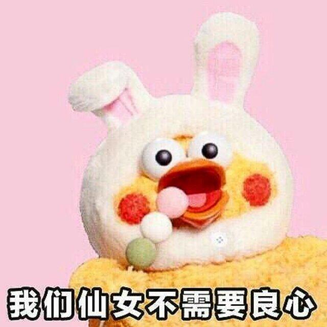 喵喵_lnpb