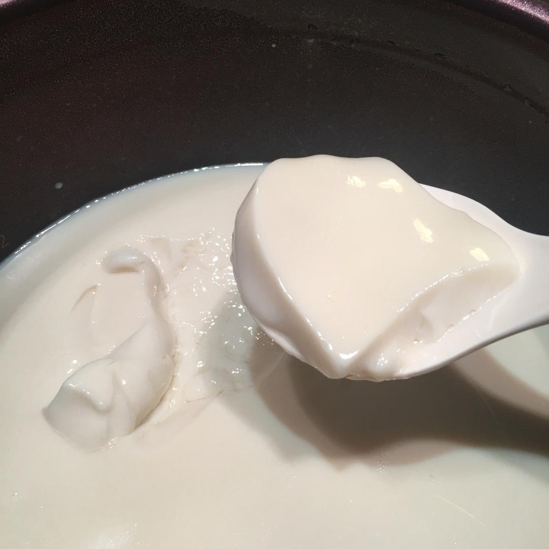自制豆腐、豆腐脑（超详细）