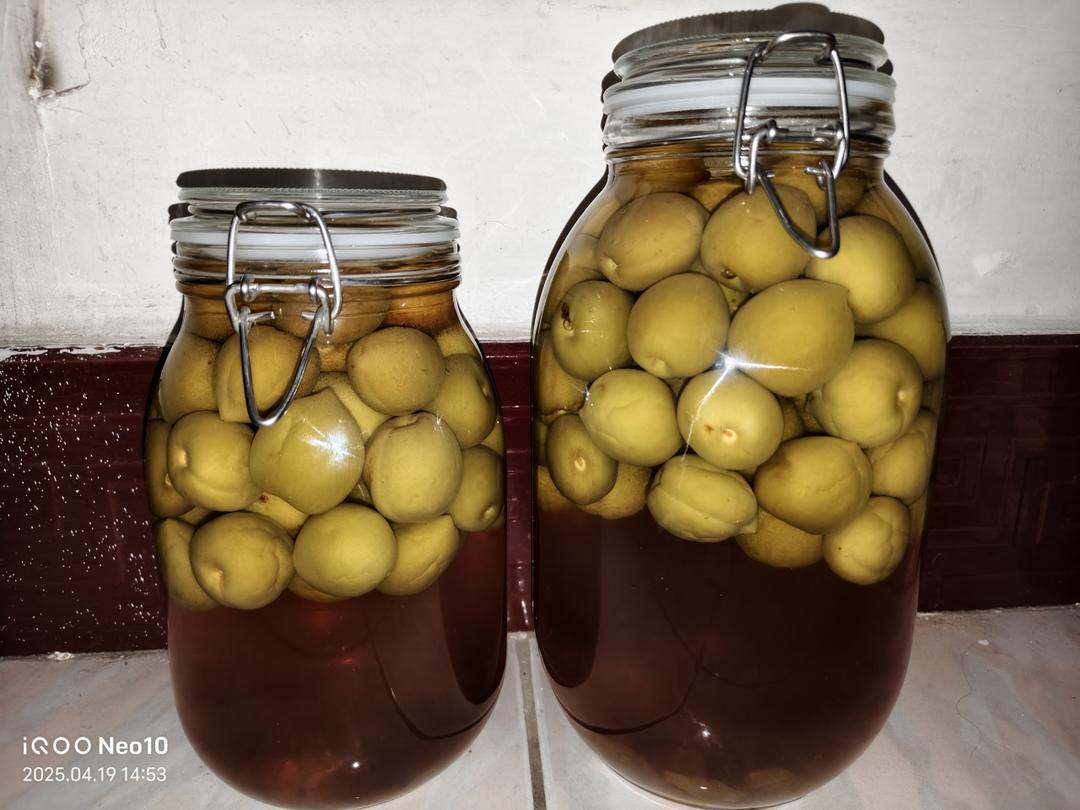 青梅酒～全过程记录