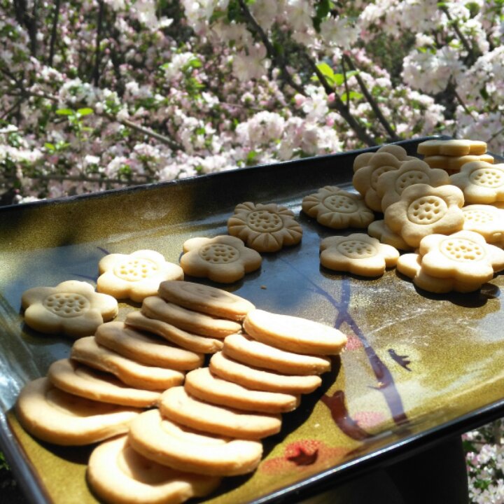 相识、相知、相遇、感恩——我的跨年礼物🎁