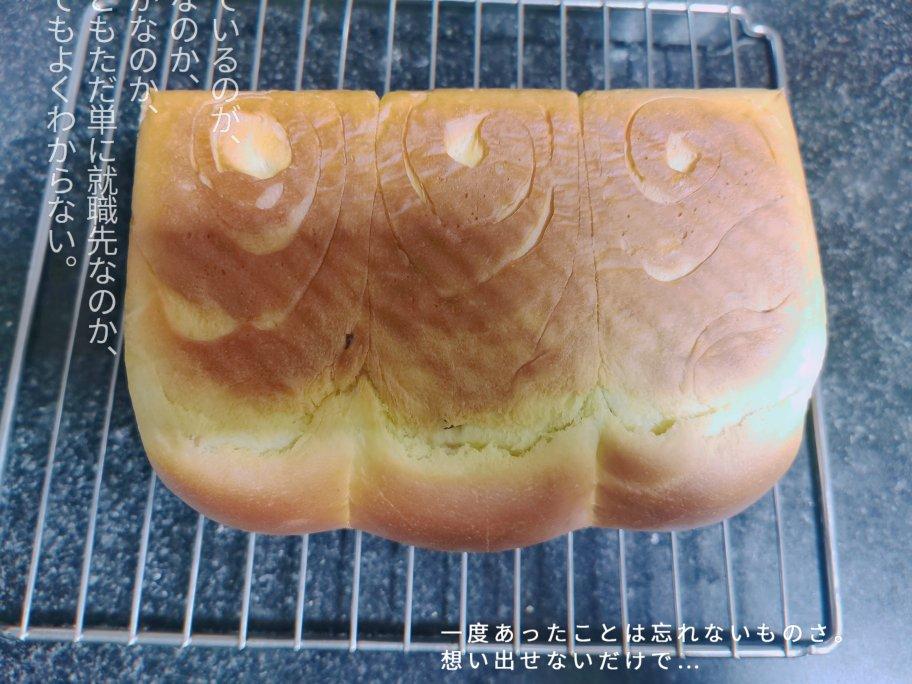 🌟只需一发的软妹子🌟奶香吐司🍞