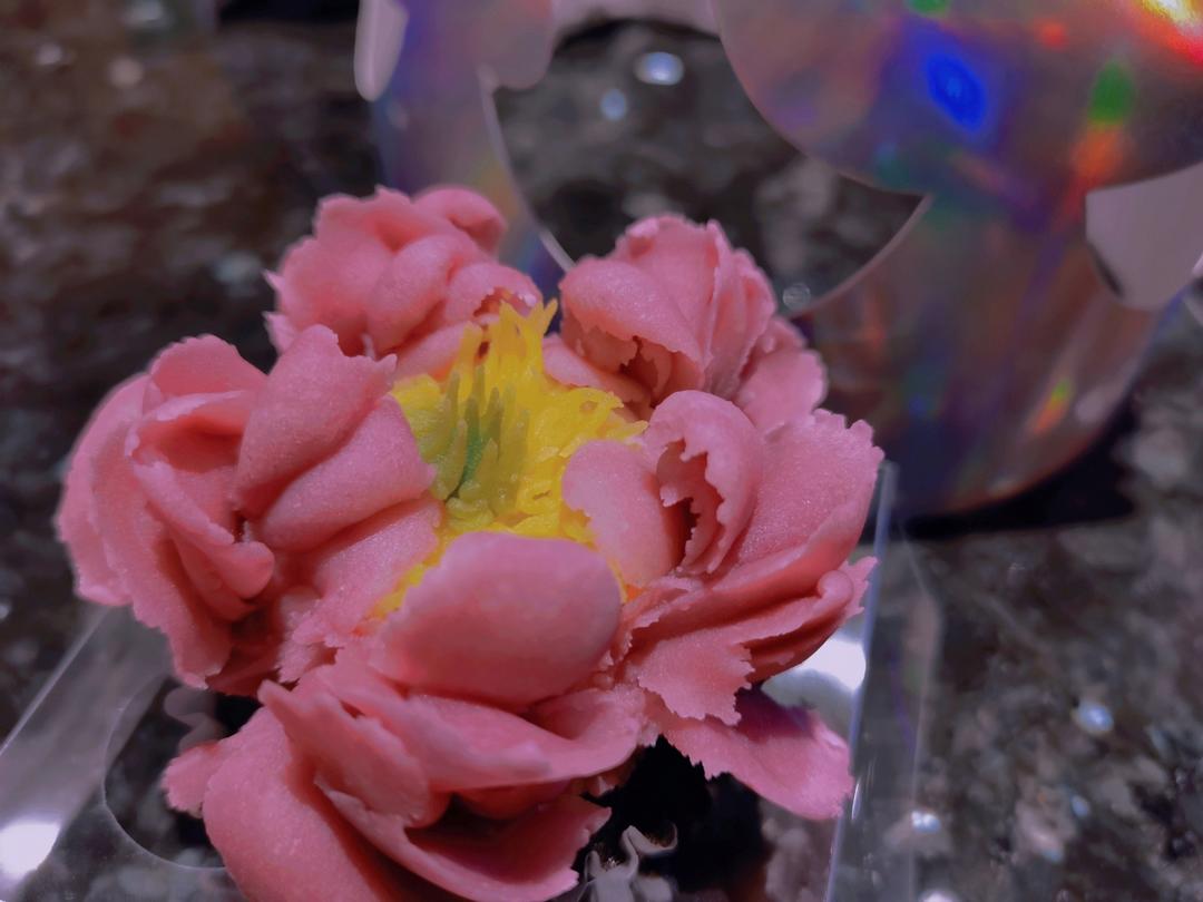 可可巧克力Cupcake纸杯子海绵蛋糕（甜品台都用本方）C6