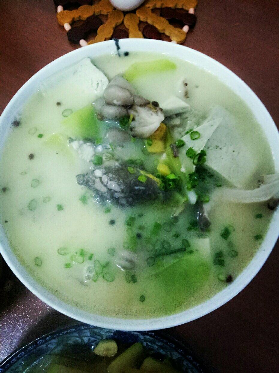 黄辣丁浓汤