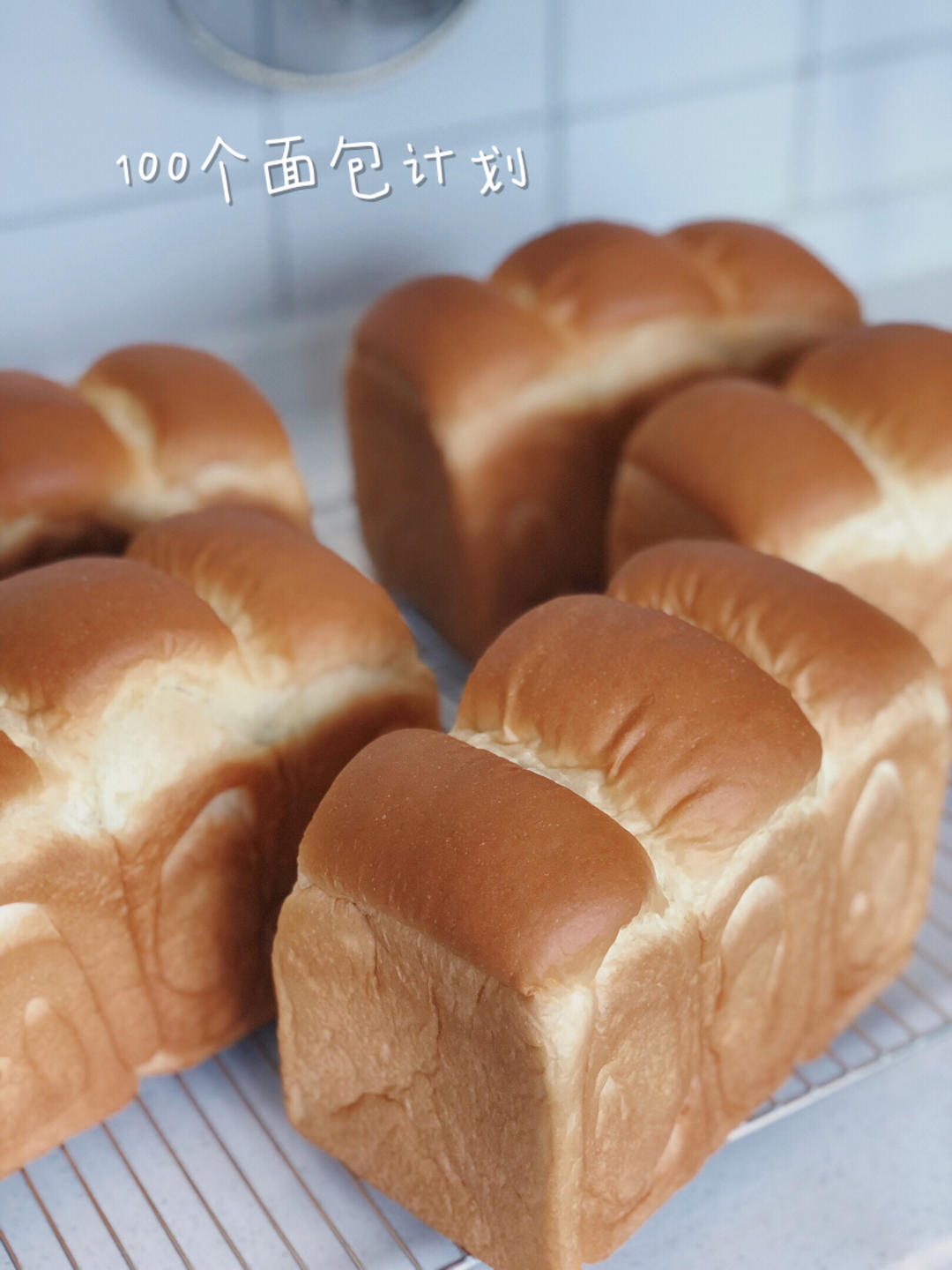 最好吃的牛奶吐司妃娟的100%中种北海道牛奶吐司奶油吐司