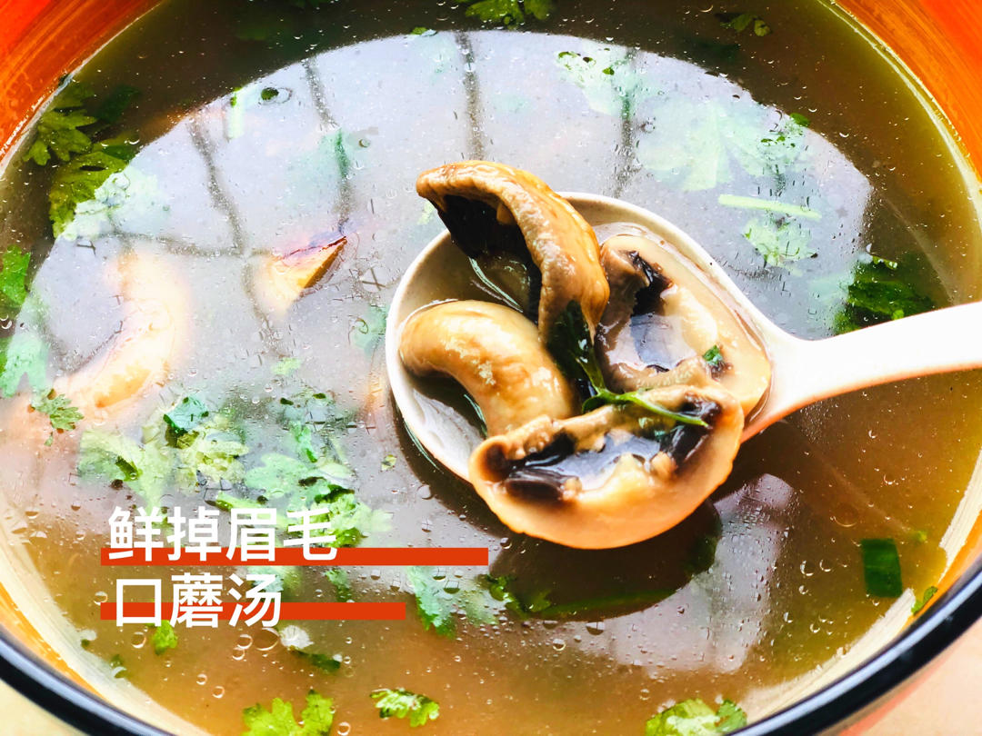 鲜掉眉毛口蘑汤