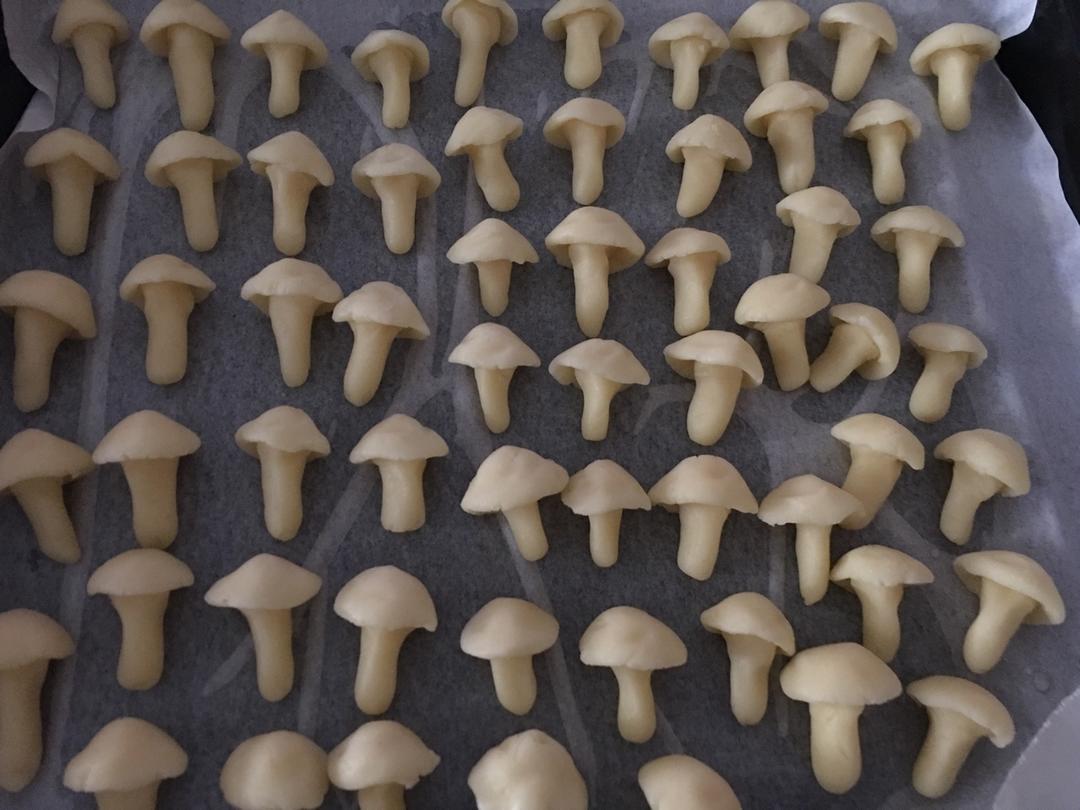蘑菇力饼干
