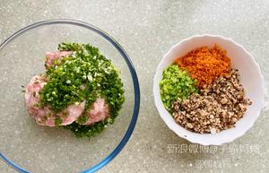 好吃的彩色饺子的做法 步骤7