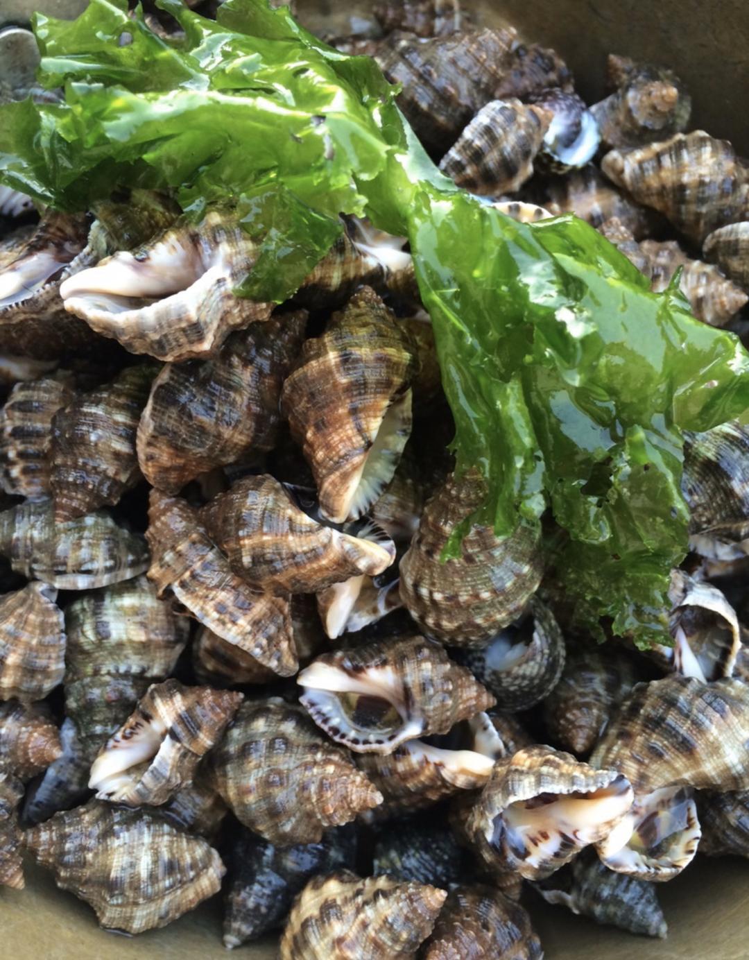 0人做过这道菜la677889用料辣螺随意辣螺的做法小贴士水不要放多了,放