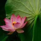 手机用户0920_3kpo