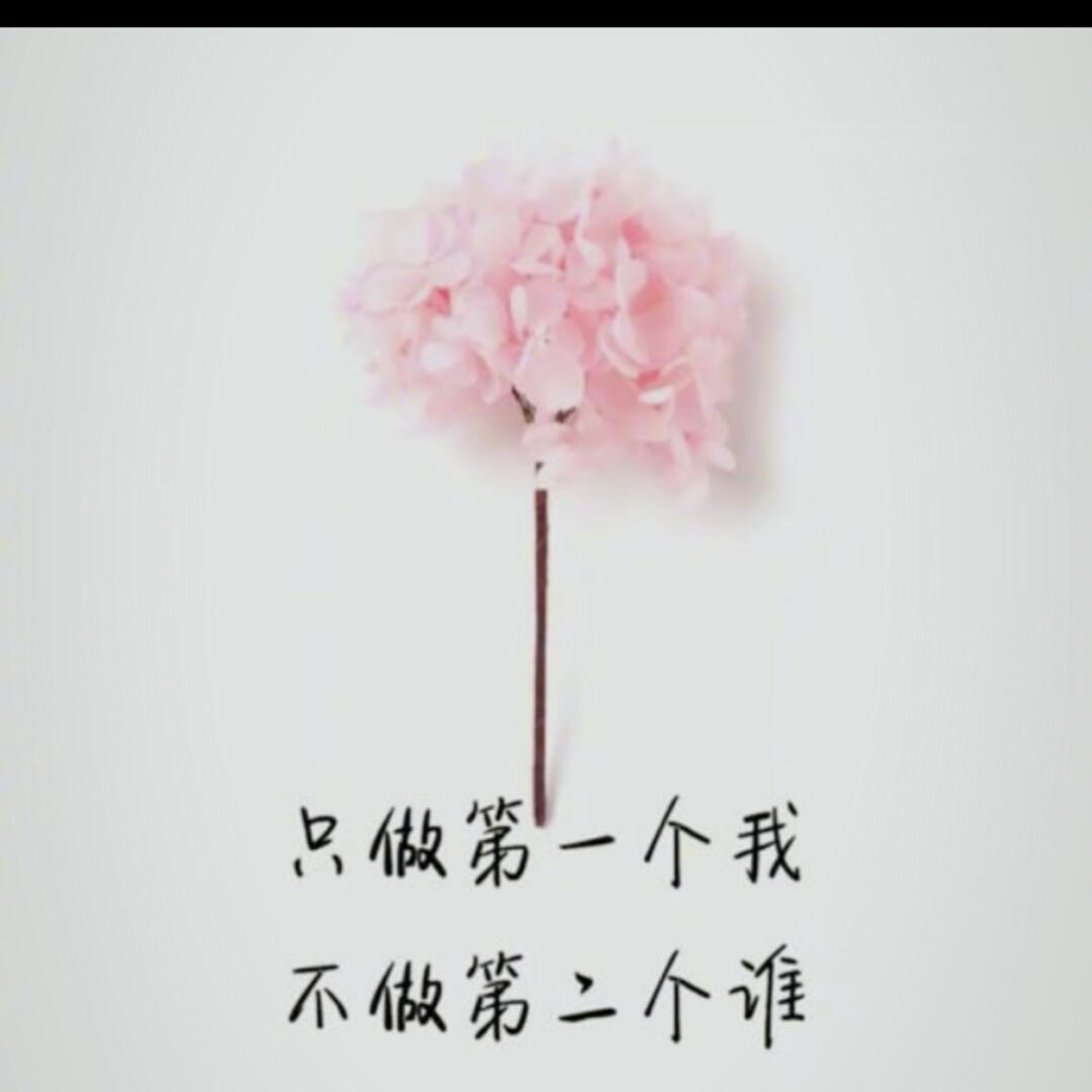 小水晶星