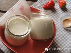 自制酸奶简述的做法 步骤7