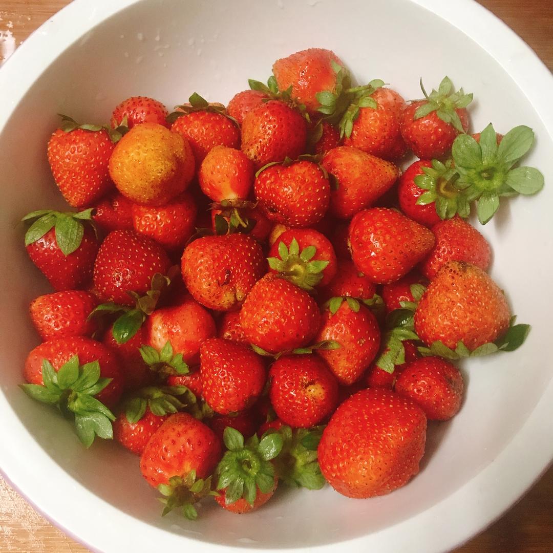 《Tinrry下午茶》番外篇-满满果肉的草莓果酱