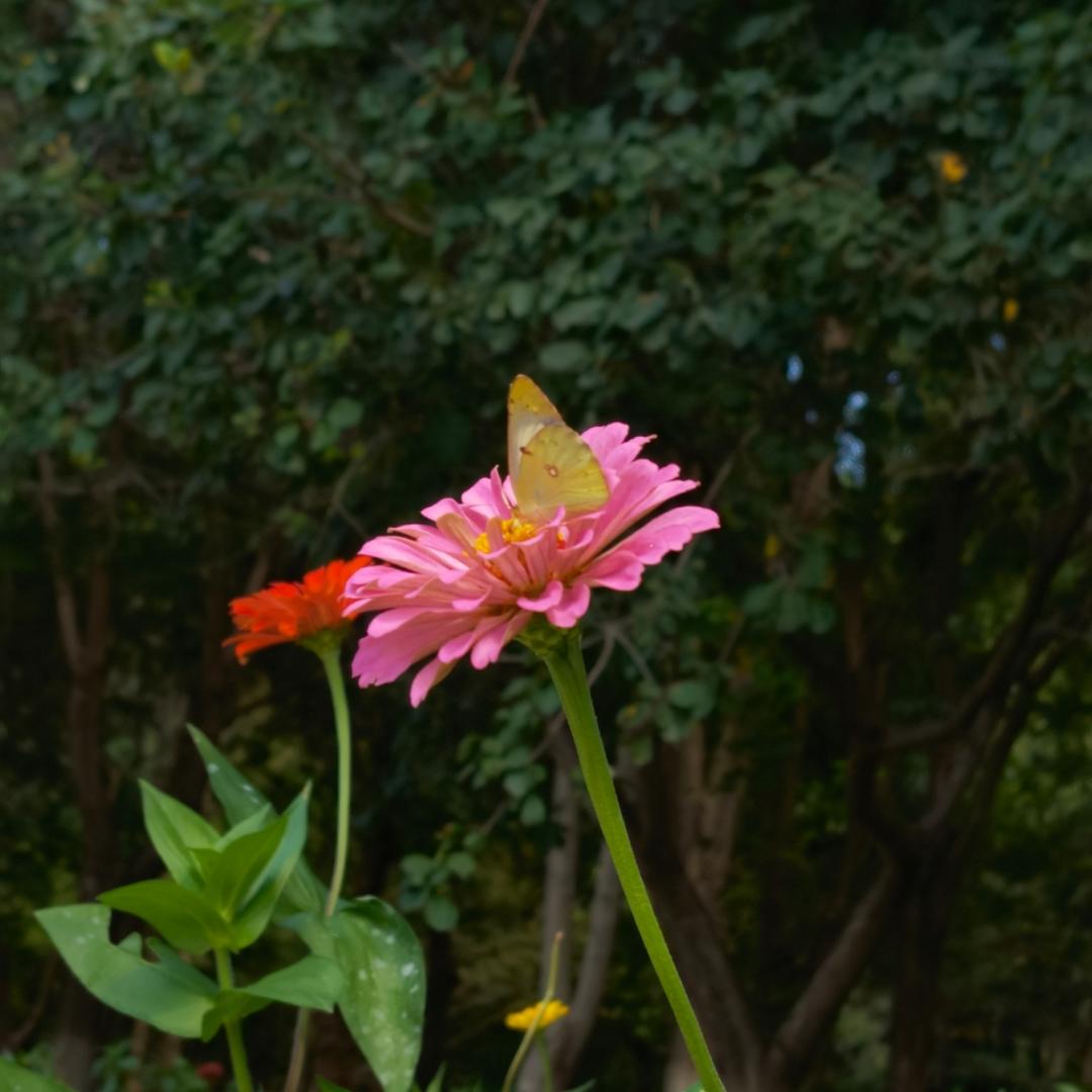 ～♀沫沫♀～