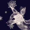 Melody_