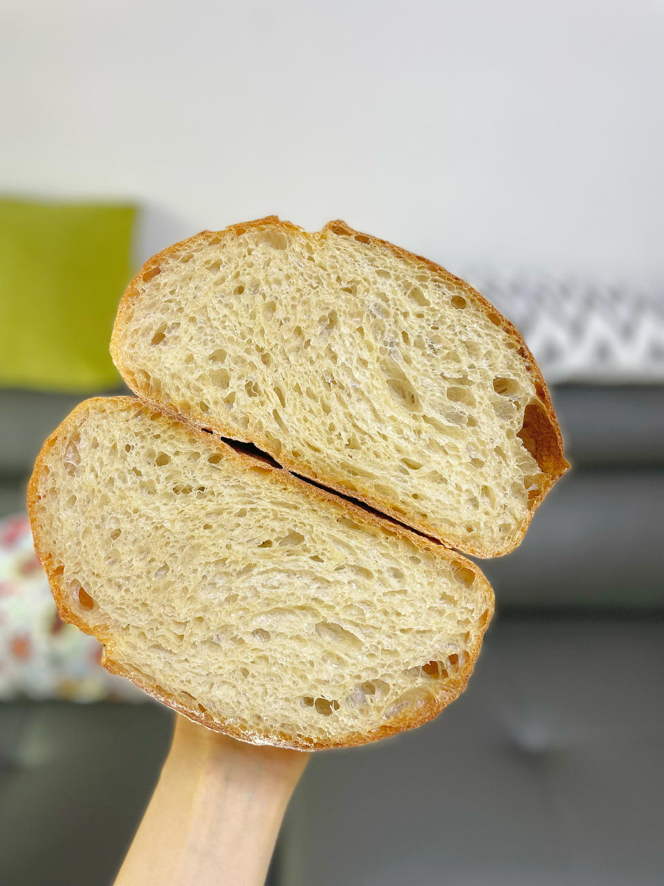 欧包 波兰种 割包视频