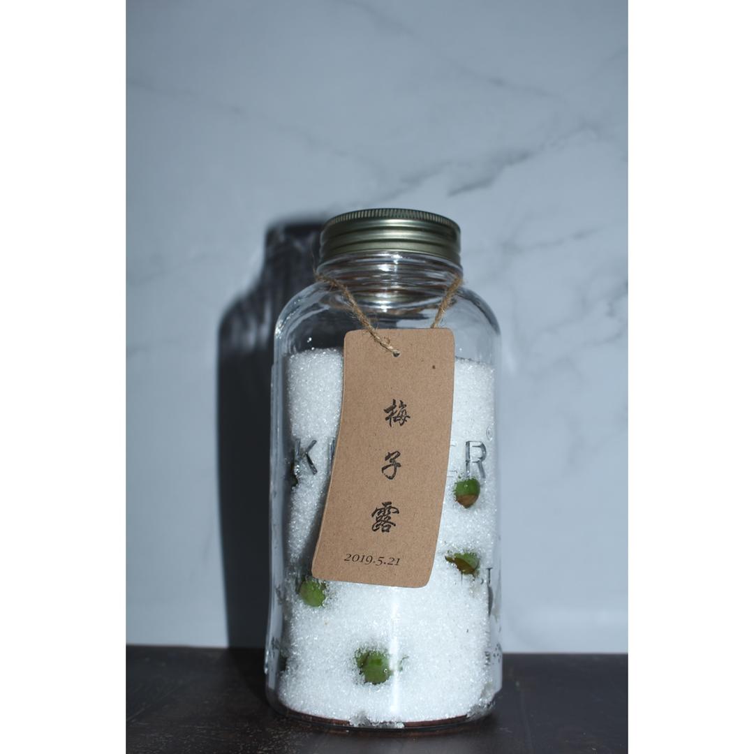 【梅子露 & 梅子醋】青梅的健康饮料