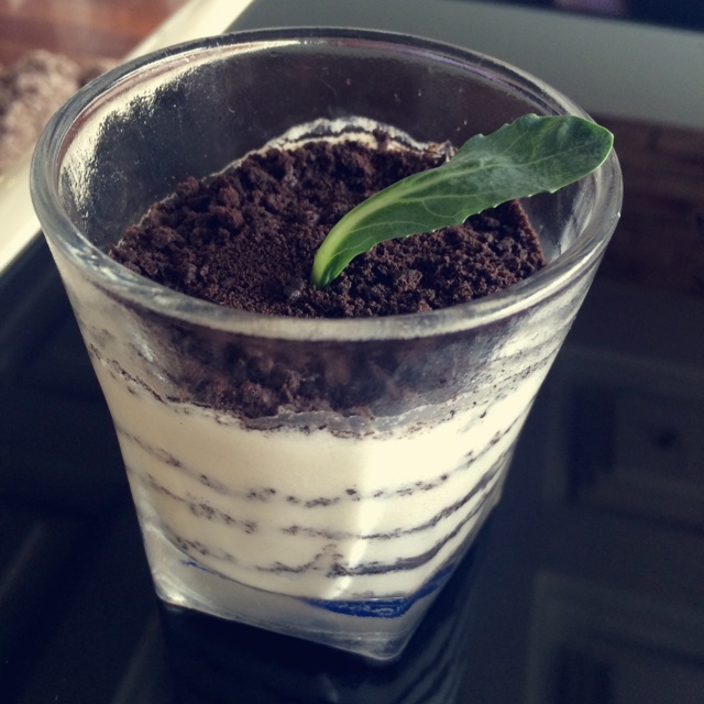 木糠酸奶布丁