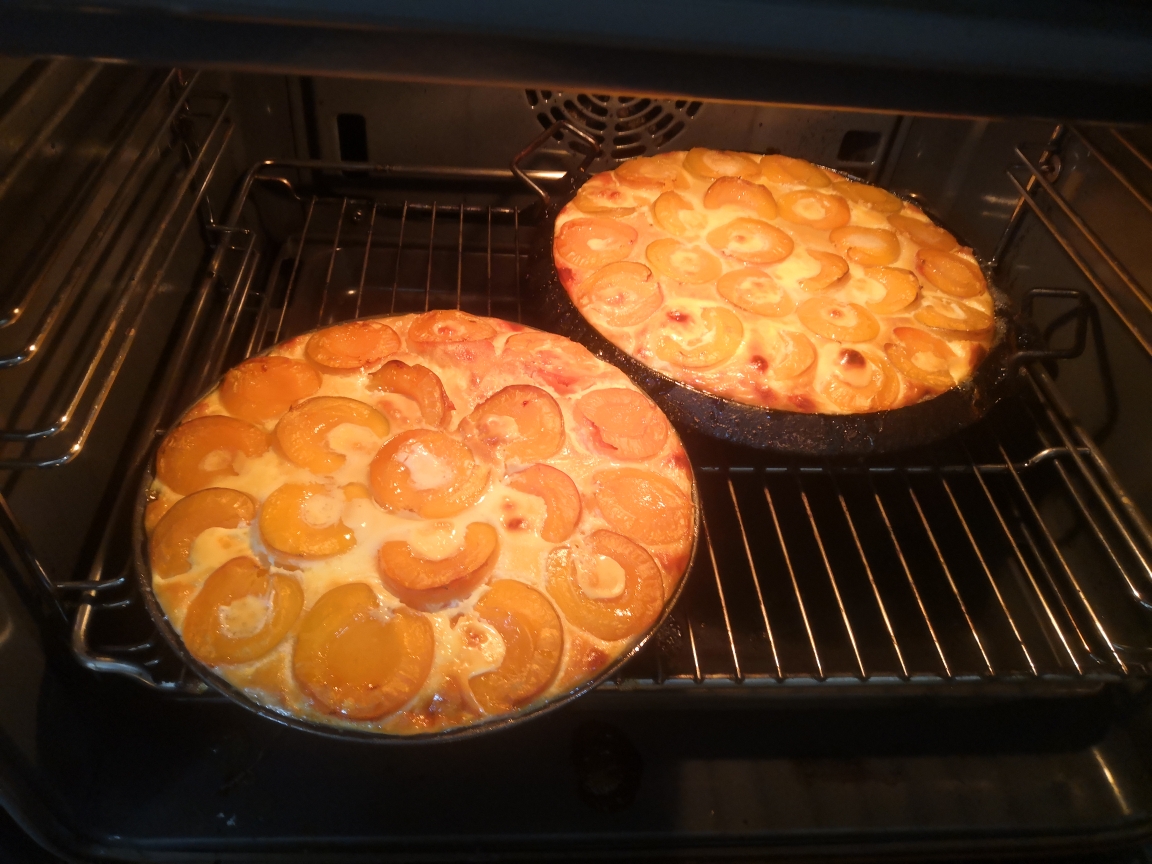 杏派 apricot tart的做法