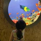 青鱼1160_6dhn