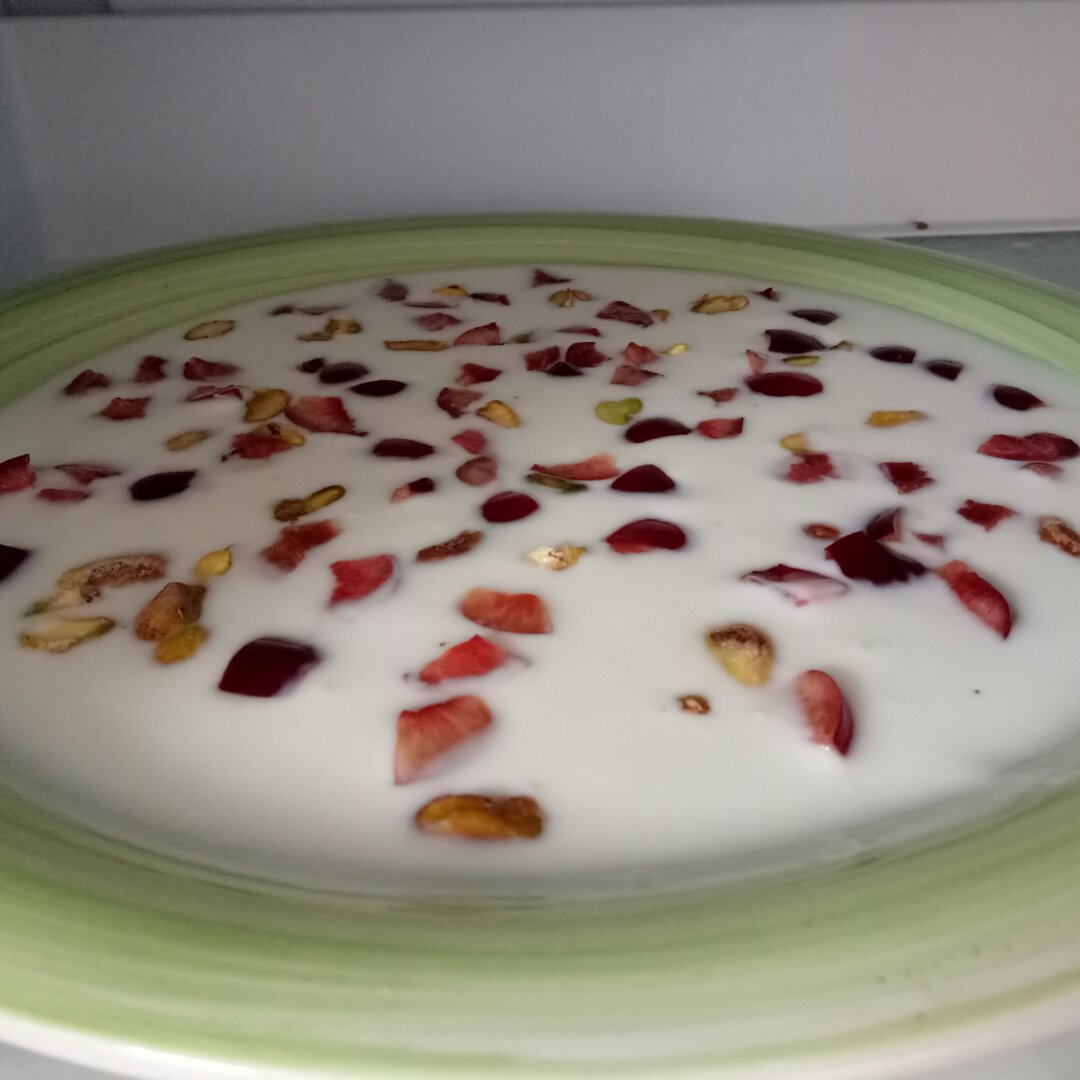酸奶水果薄脆Yogurt Fruits Bar
