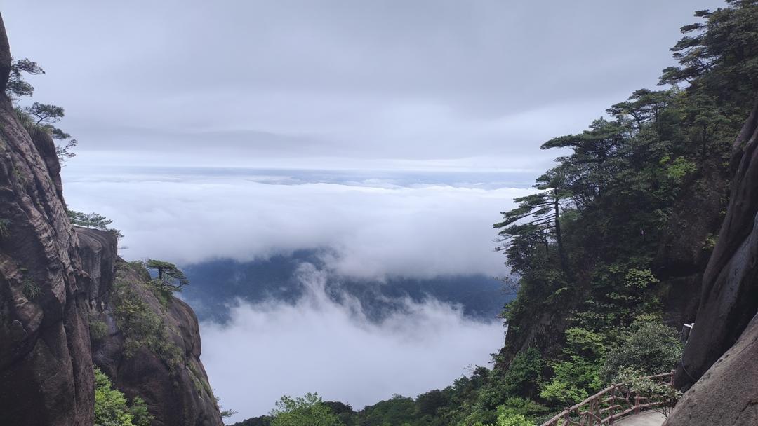 北海道吐司（无淡奶油）