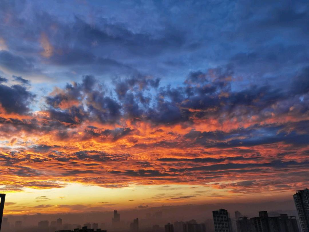 不言不语都是好风景