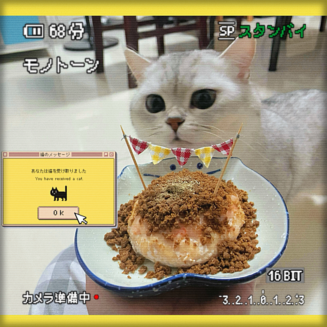 自制宠物零食-猫咪蛋糕-猫生日蛋糕