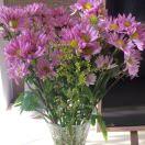 手机用户3800_bz67