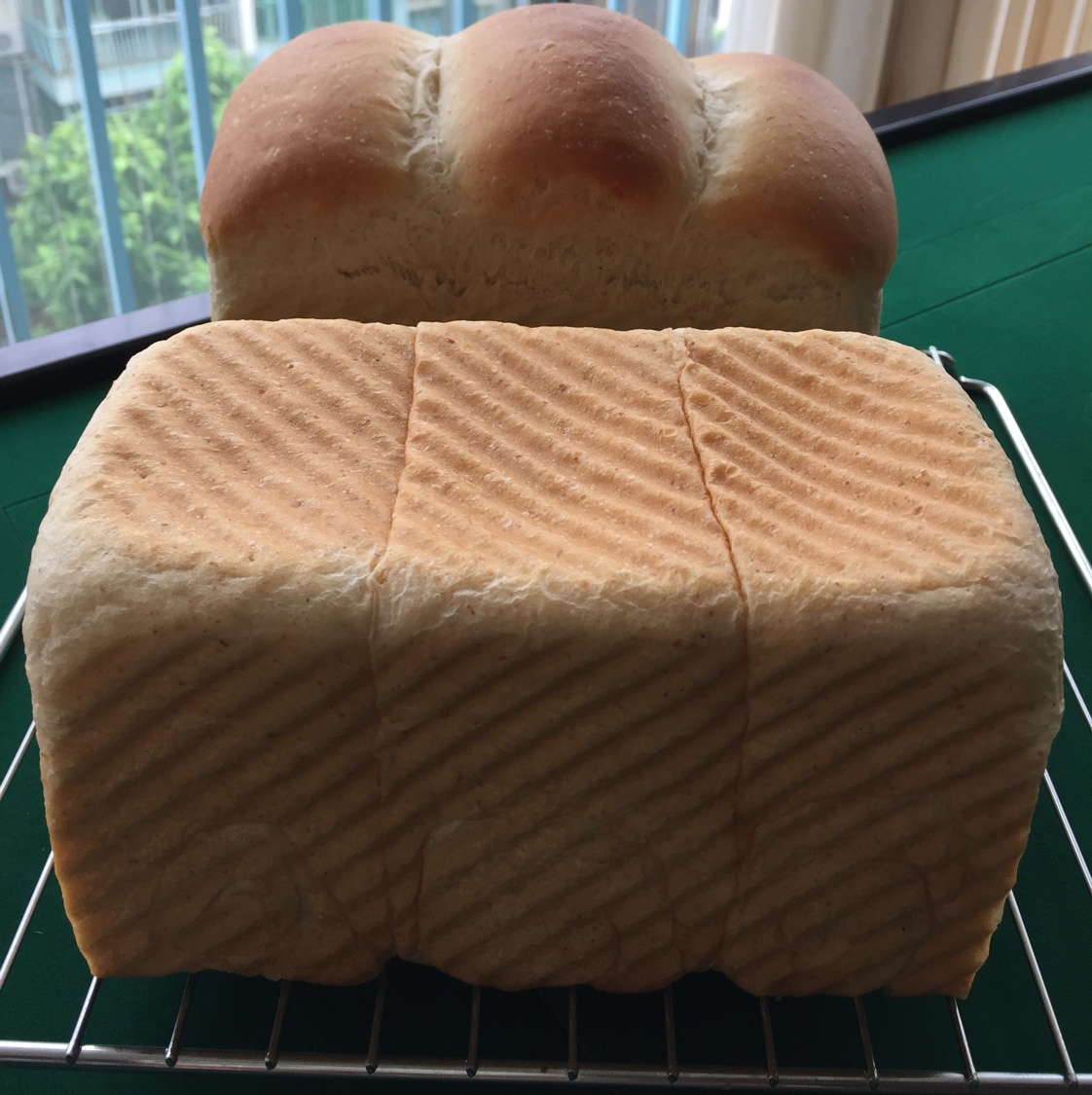 全麦吐司～17小时冷藏中种