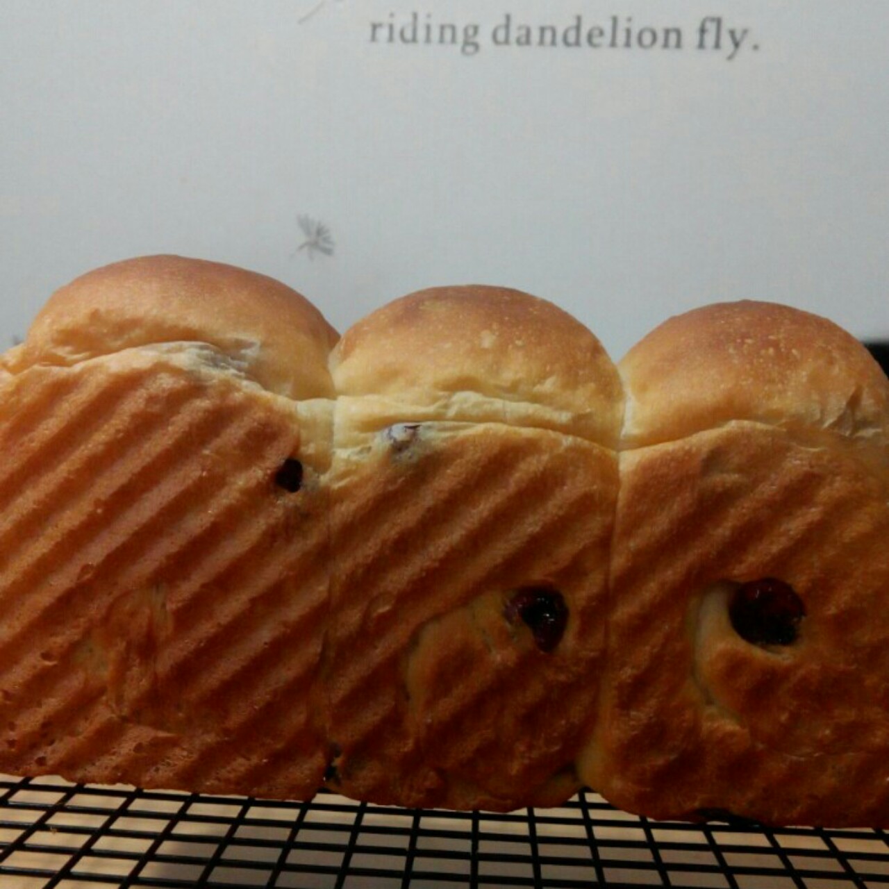 酸奶蔓越梅吐司～冷藏发酵