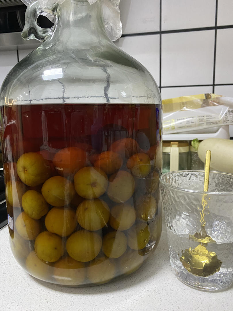 【青梅酒】梅子的沉醉时光（已填坑）