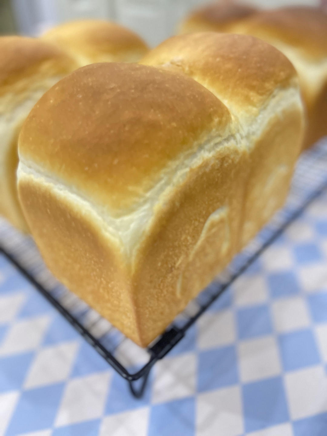 椰子油酸奶绵吐司