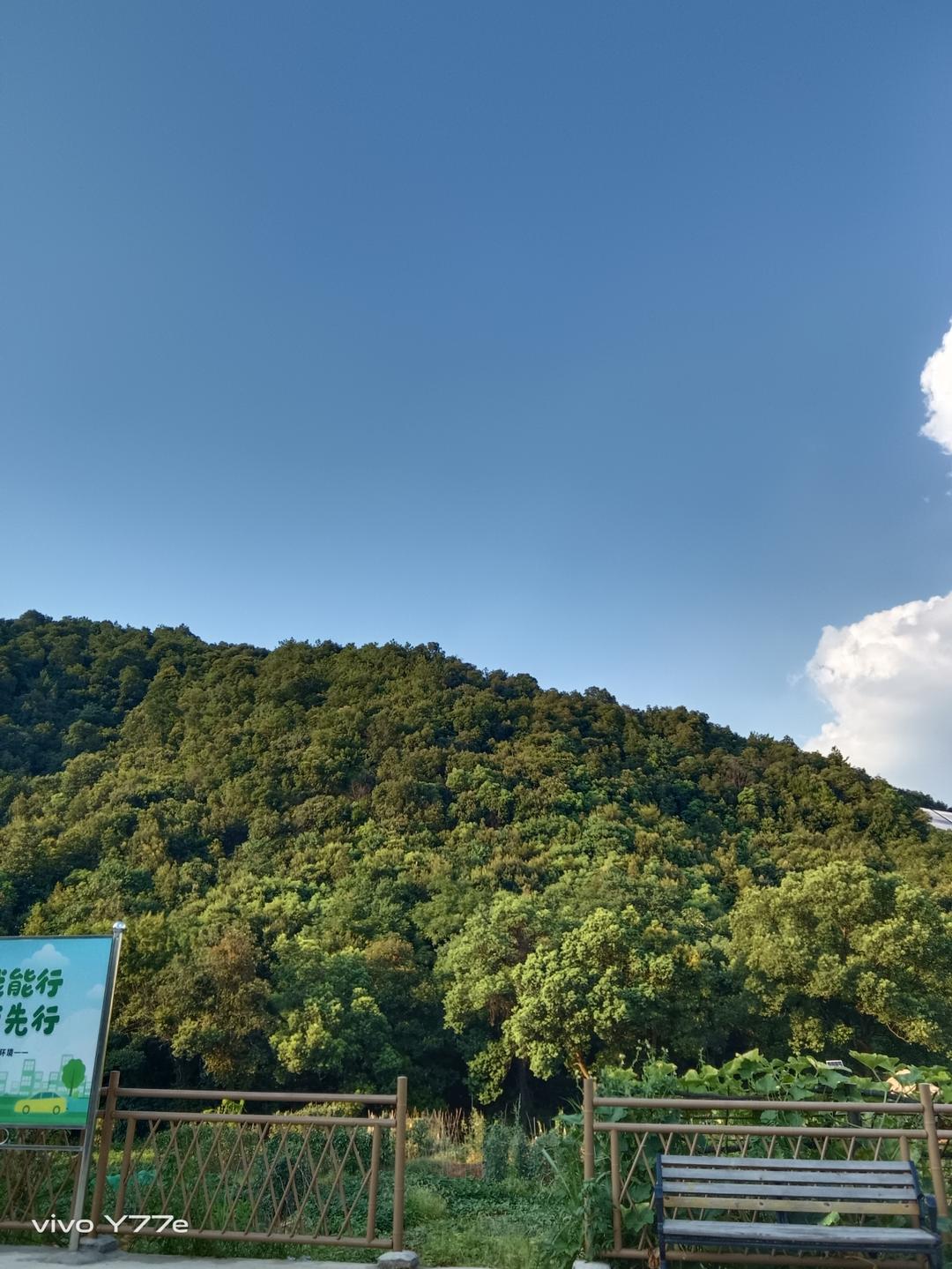 每一天的早中晚餐