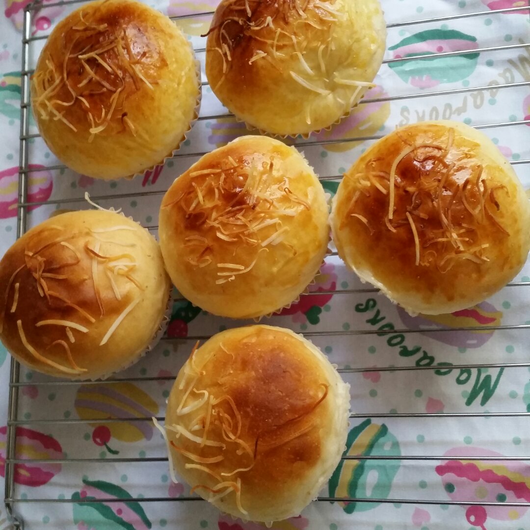 汉堡胚 poolish（波兰种）
