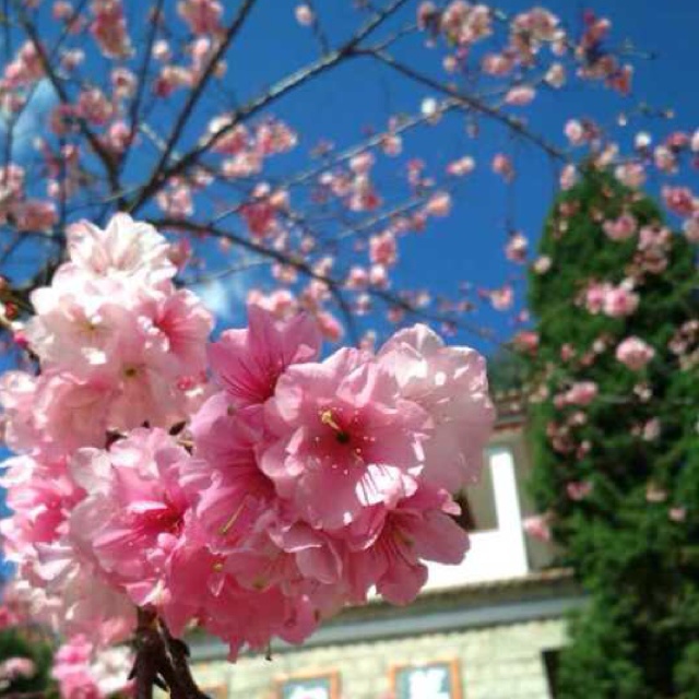 午餐•2015年6月5日