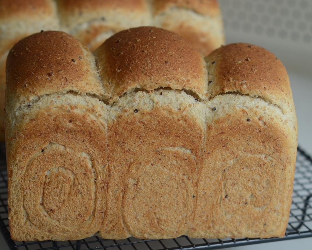 三色藜麦全麦吐司训练营的做法