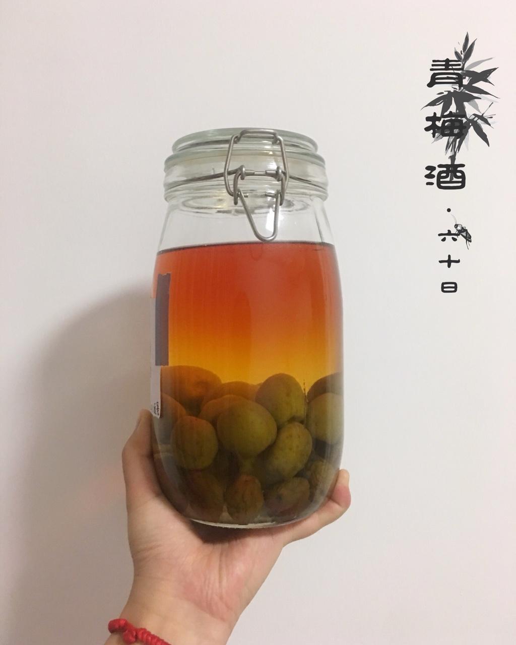 【青梅酒】梅子的沉醉时光（已填坑）