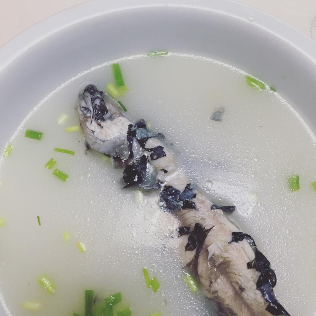 浓厚鱼汤