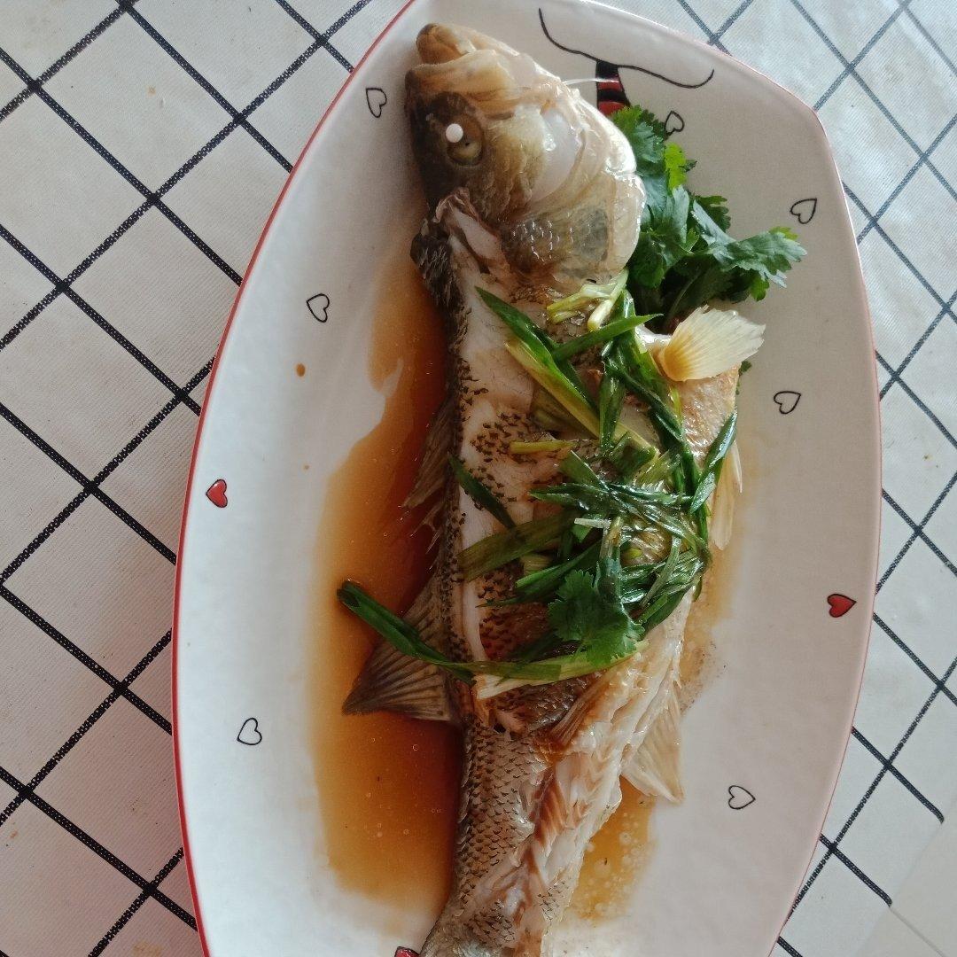新手零失败的清蒸鲈鱼