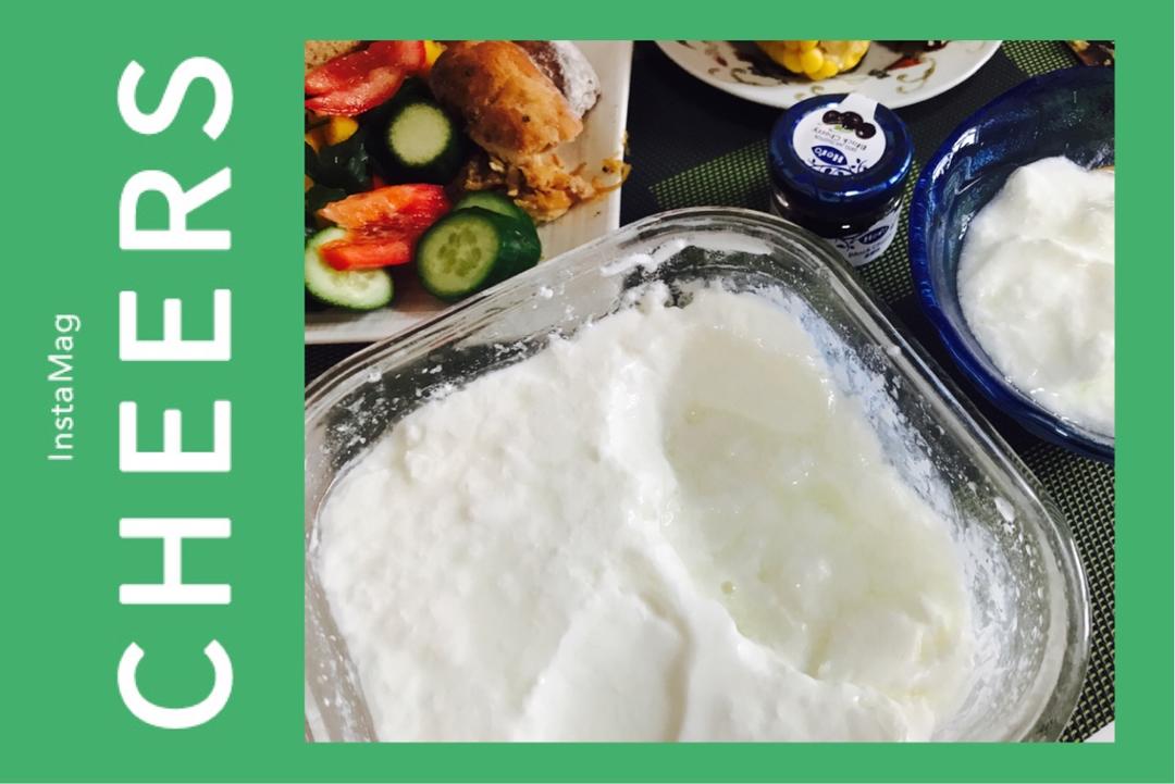 无需酸奶机的自制酸奶