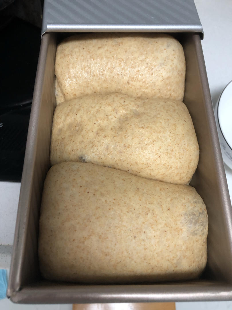 柔软拉丝的100%全麦麦片吐司（一次发酵）