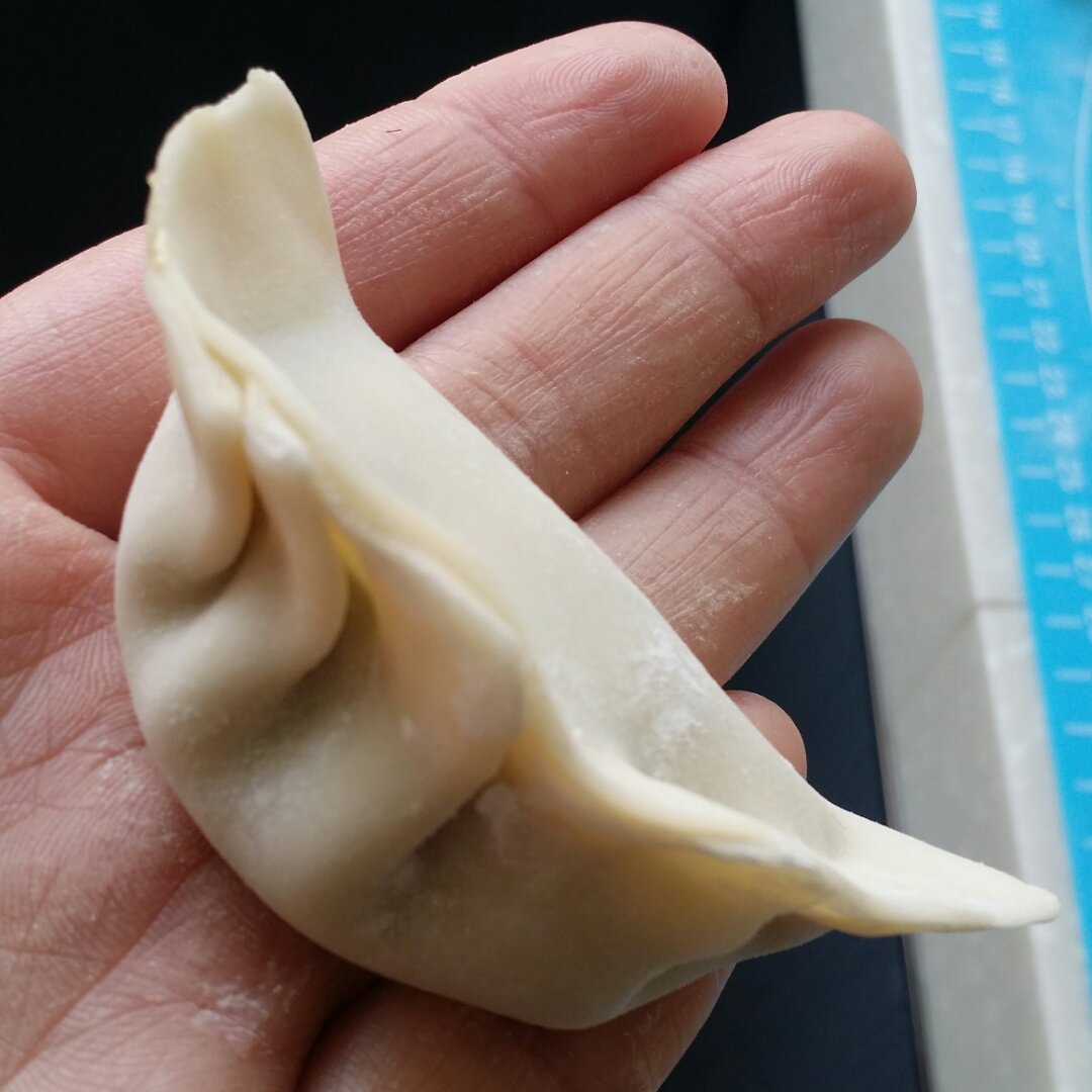 冬笋猪肉馅饺子